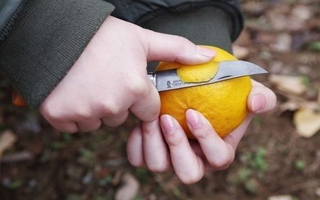 ナイフで果物の皮を切る様子