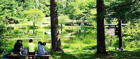 駒出池キャンプ場の池