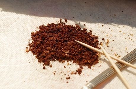 ハンドミルでミル3の調節ネジで挽いたコーヒー豆