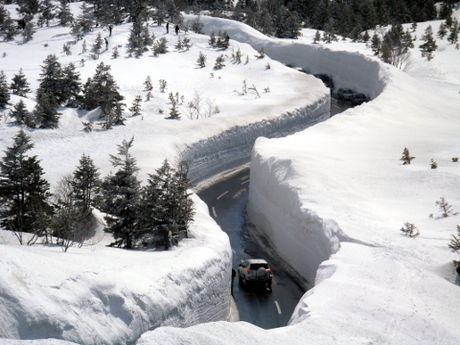 上から見た雪の回廊