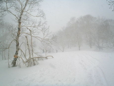 吹雪で視界が悪い様子