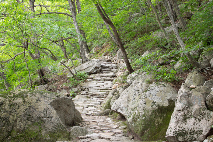 登山道の石段