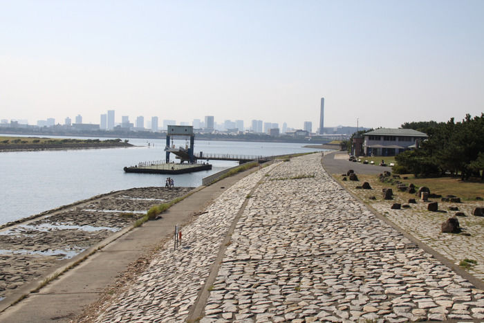 葛西臨海公園の海辺
