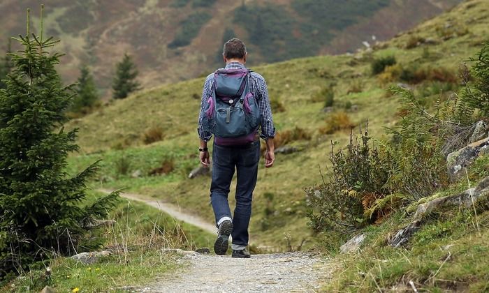 山道を歩く男性の後ろ姿