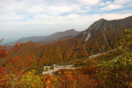 紅葉した鳥取県の大山