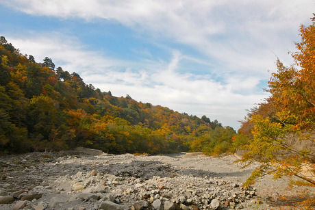 紅葉した鳥取県の大山