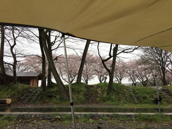 悪天候の日のキャンプのテントからの景色