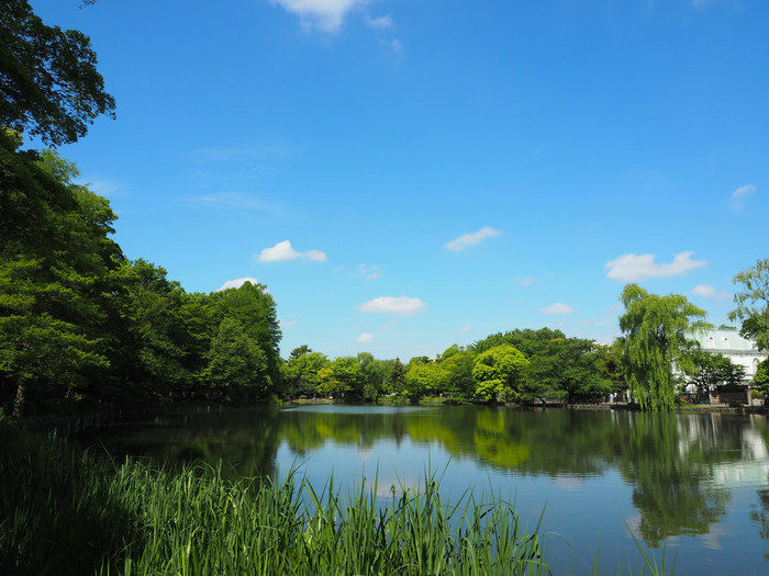 石神井公園の三宝寺池