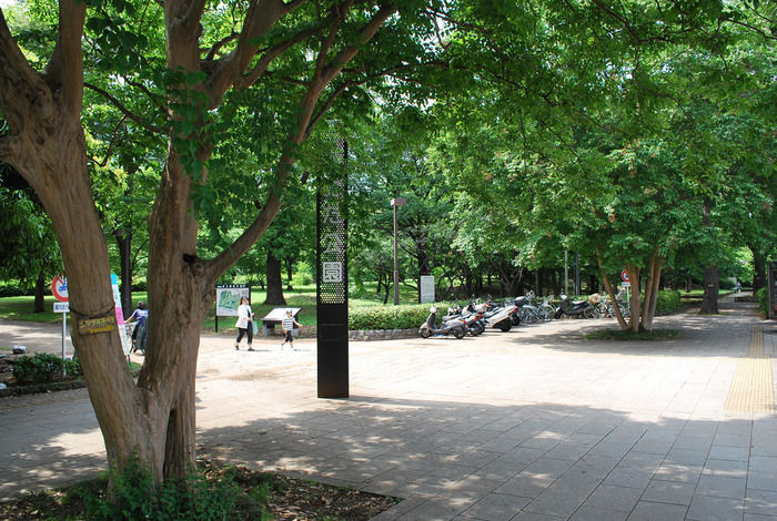 砧公園の様子