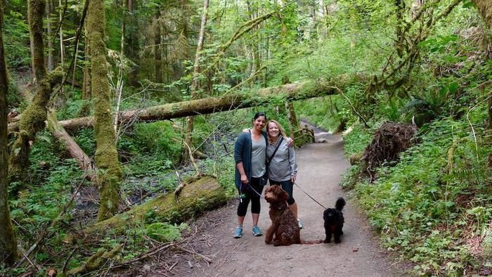 ポートランドの「フォレストパーク」で犬の散歩をする人