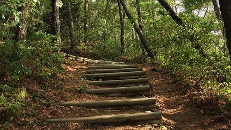 登山道