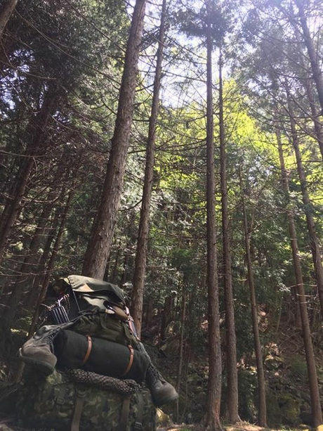 山道を登る男性の後ろ姿