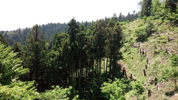 城山山頂からの景色