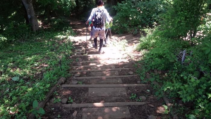 階段の下りの山道