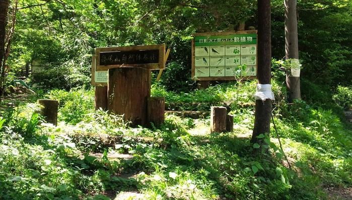 日影下車~城山の山道