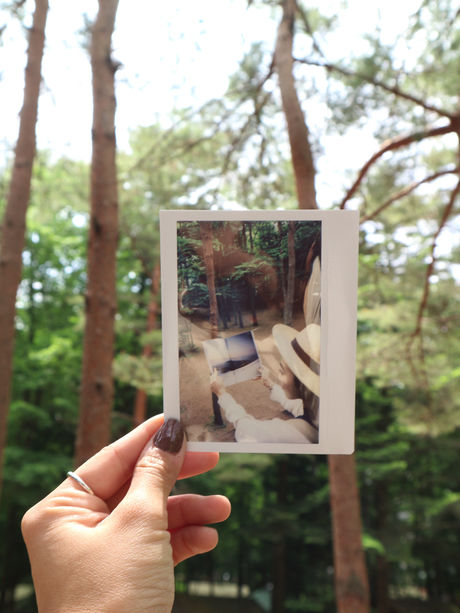 林間で本を見る写真を持ち背景をぼかしたフォトインフォト