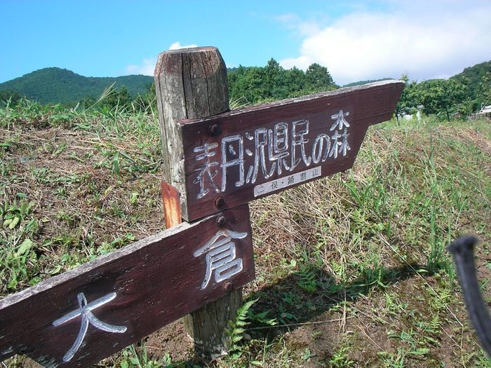 大倉と表丹沢県民の森の分岐点標識