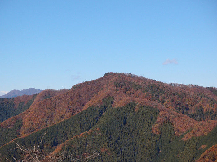 紅葉した陣馬山