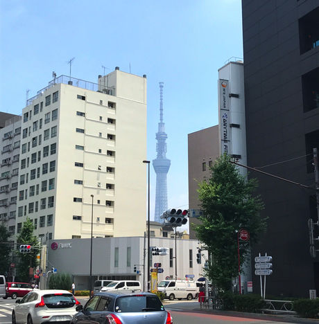 途中で見えるスカイツリー