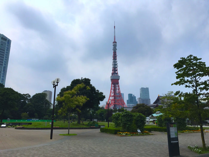コース道中で見える東京タワー