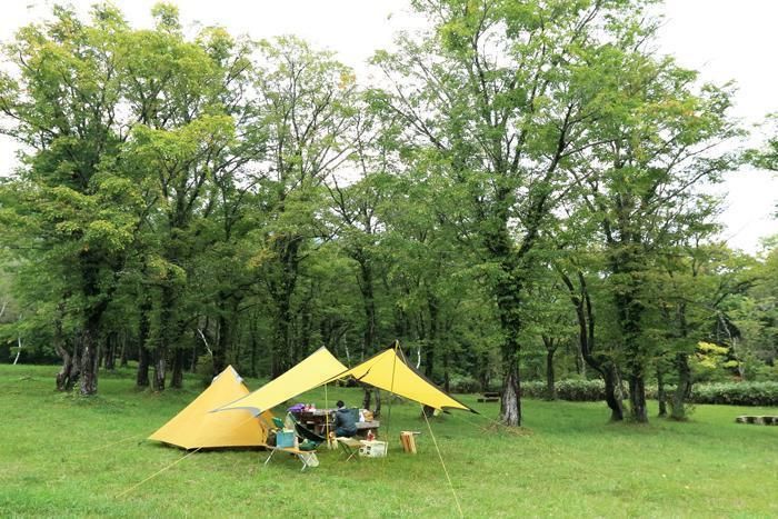 休暇村笹ヶ峰キャンプ場のキャンプサイト