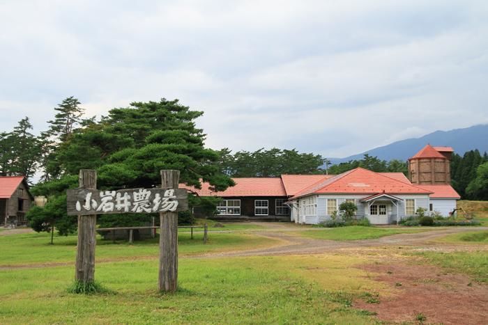 小岩井農場の様子