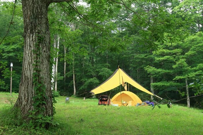 休暇村網張温泉キャンプ場の緑に囲まれたキャンプサイト