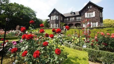 旧古川庭園のバラと洋館