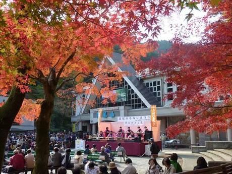 高尾山の紅葉
