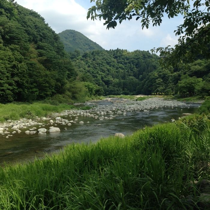 青野原オートキャンプ場の山々に囲まれた道志川