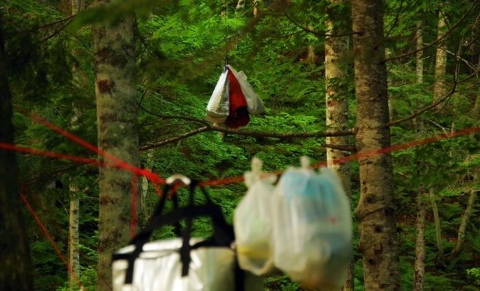 ベアプルーフされている荷物