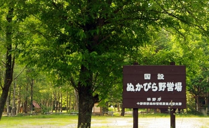 ぬかびら湖野営場の看板と森