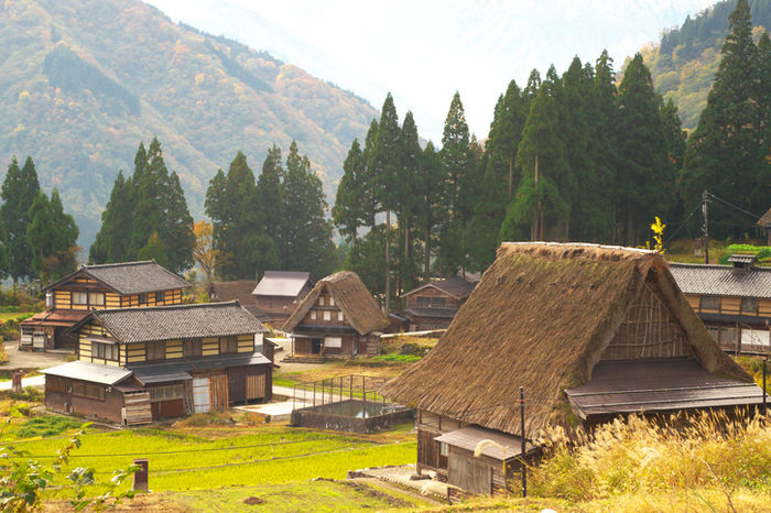 茅葺屋根の家々が並ぶふるさとの街並み