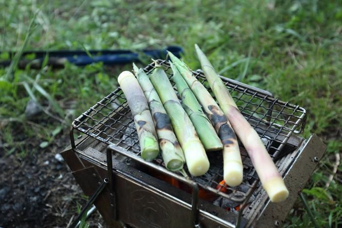 根曲がり竹を炭火焼きにする様子
