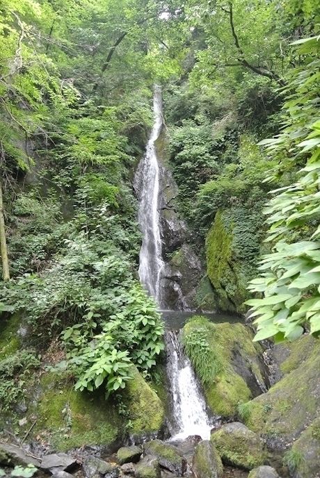 コテージ森林村周辺の大滝