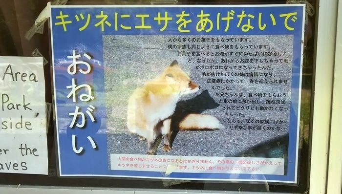野生動物に関する注意書き