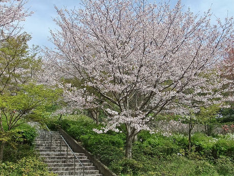 花博記念公園鶴見緑地