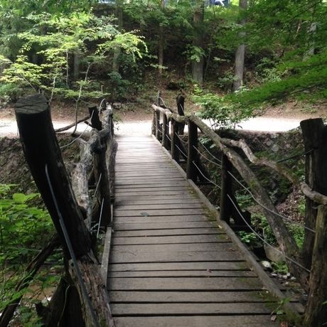 道志の森キャンプ場の橋