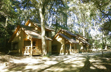 御池野鳥の森公園キャンプ村のコテージ外観