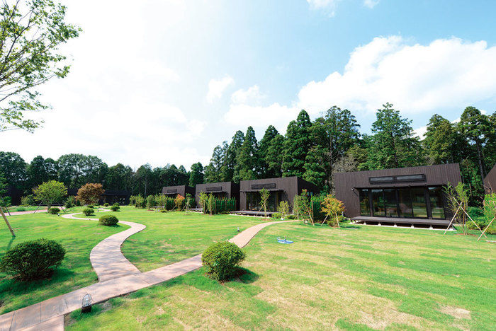 農園リゾート THE FARMの立ち並ぶコテージ