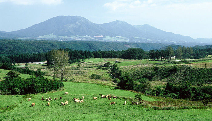 蒜山高原キャンプ場から見える牧場の風景