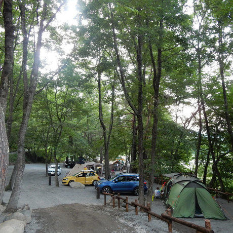 ForestersVillage kobittoのサイトの様子