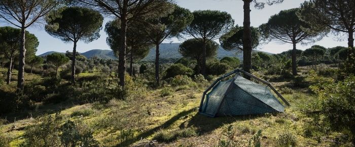 草原に1つ建てられたヘイムプラネット「THE CAVE」