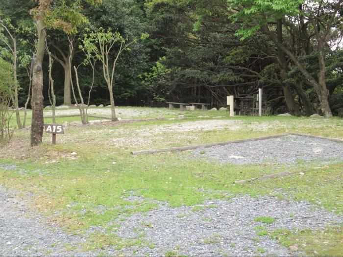 テント設営前のキャンプサイト