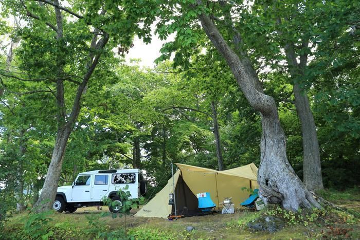 森の中に設営されたキャンプサイト