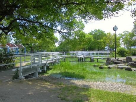 緑豊かな舟渡池公園