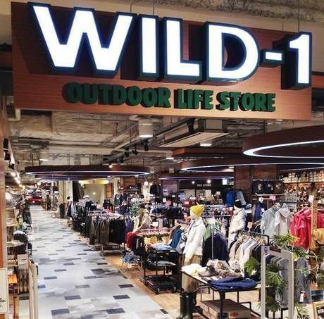 WILD-1