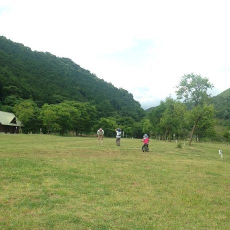 広々とした芝生で遊ぶ人々
