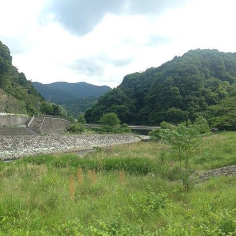 キャンプ場の奥にある河内川