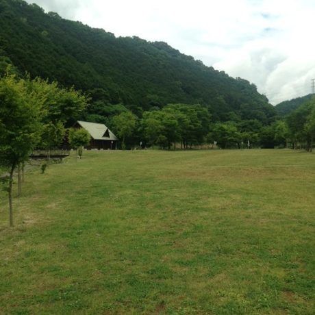 河内川ふれあいビレッジオートキャンプ場の広大な芝生サイト